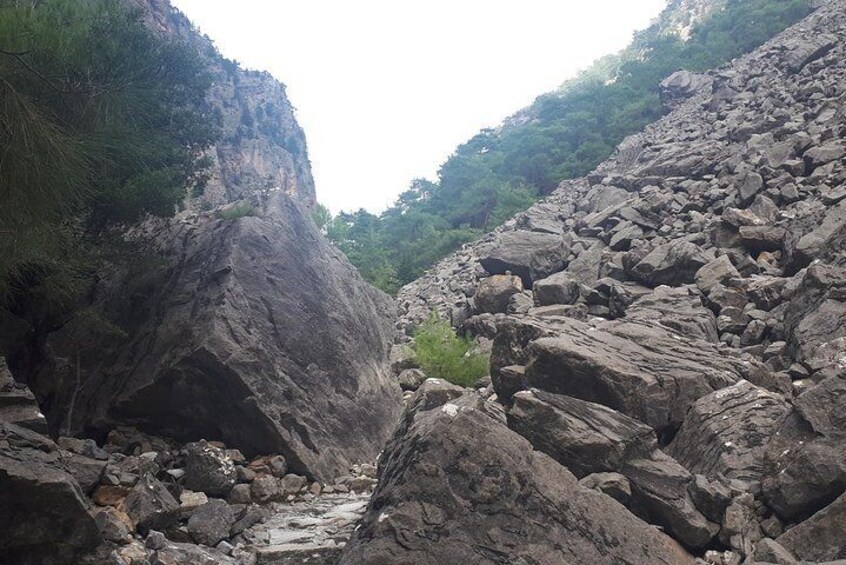 SAMARIA GORGE adventure by local guide.