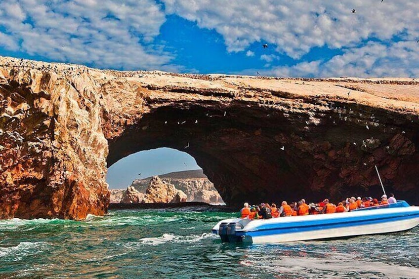 2 Day Tour from Lima: Paracas, Ballestas Island and Huacachina