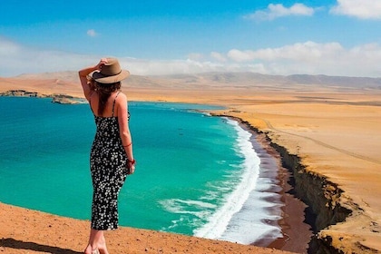 2 Day Tour from Lima: Paracas, Ballestas Island and Huacachina