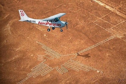 2 Day Tour from Lima: Nazca Lines Flight, Paracas, and Huacachina