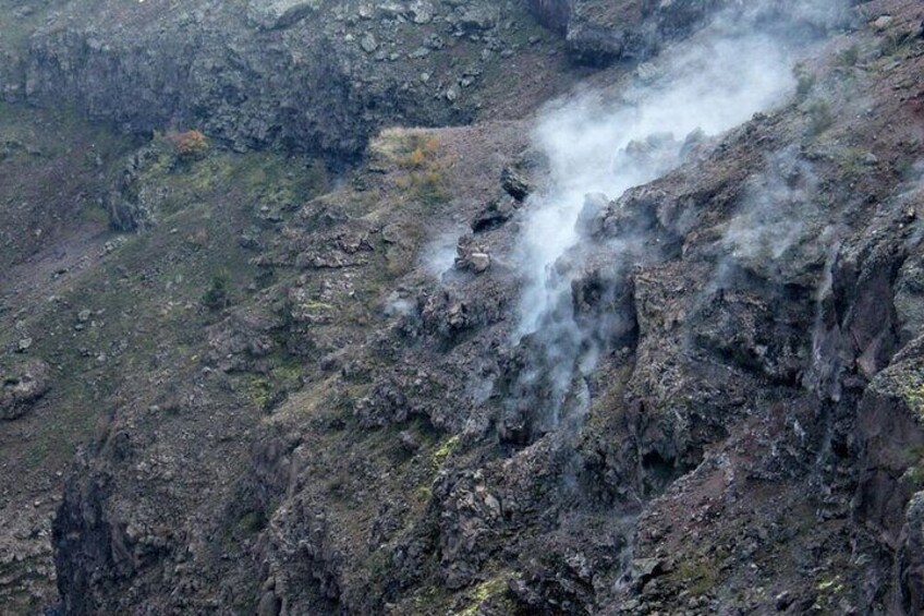 Discovering the Vesuvius - VIP tour / Small group