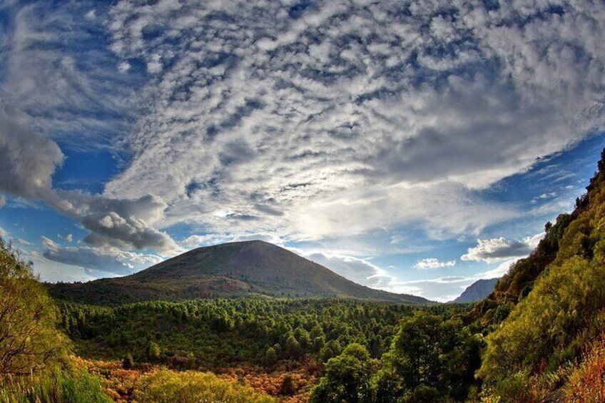 Discovering the Vesuvius - VIP tour / Small group