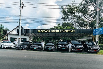 Koh Samui Island Half-Day Private Tour by Luxury Vehicle