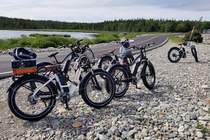 ebike rental acadia