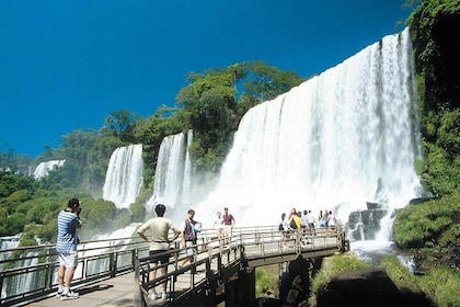 Iguazú Argentine Falls with Jungle Walk and Boat