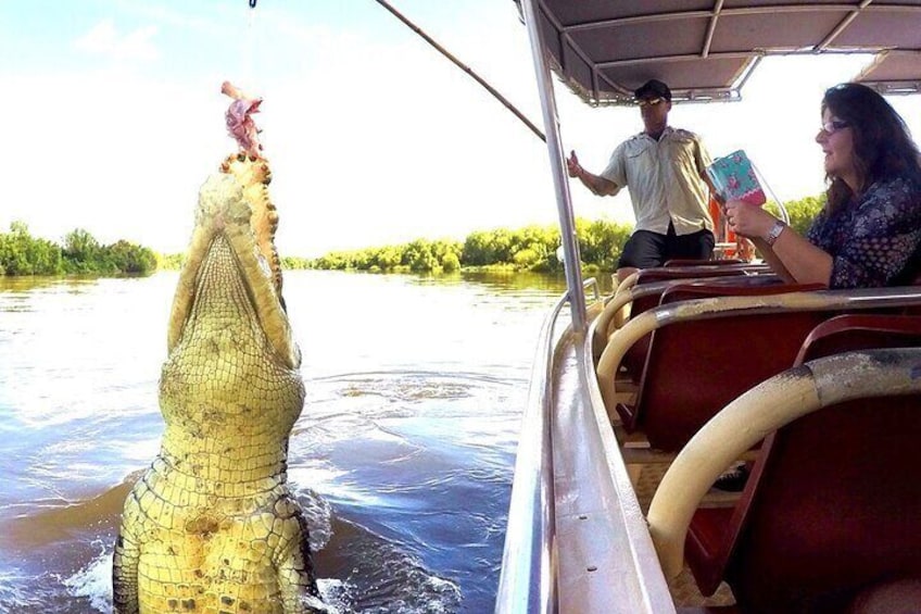 Up close to the big crocs