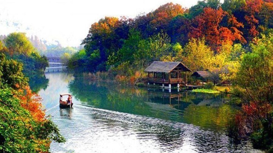 Hanghzhou Xixi Wetland Half Day Tour with Boat Ride