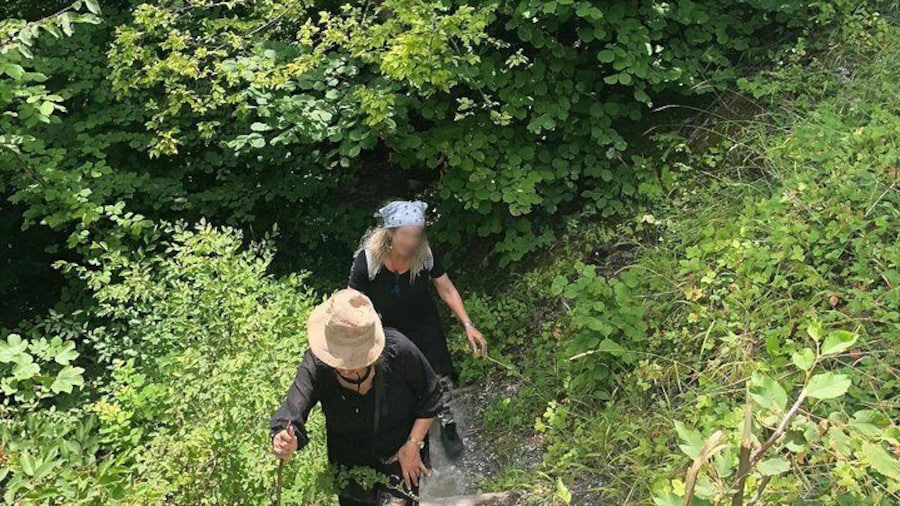 Private hiking tour to Olympus mountain