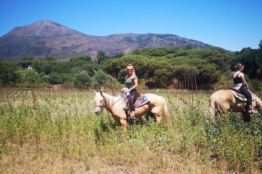 Private Pompeii & Horses & Wine w/ Pick up included