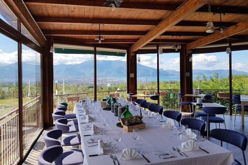 Private Pompeii & Horses & Wine w/ Pick up included