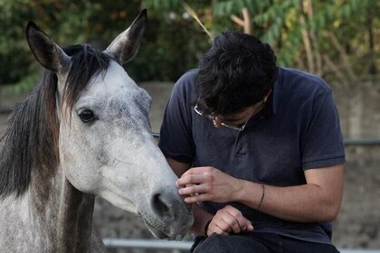 Private Pompeii, Horse Riding & Lunch Tour w/ Pick up included