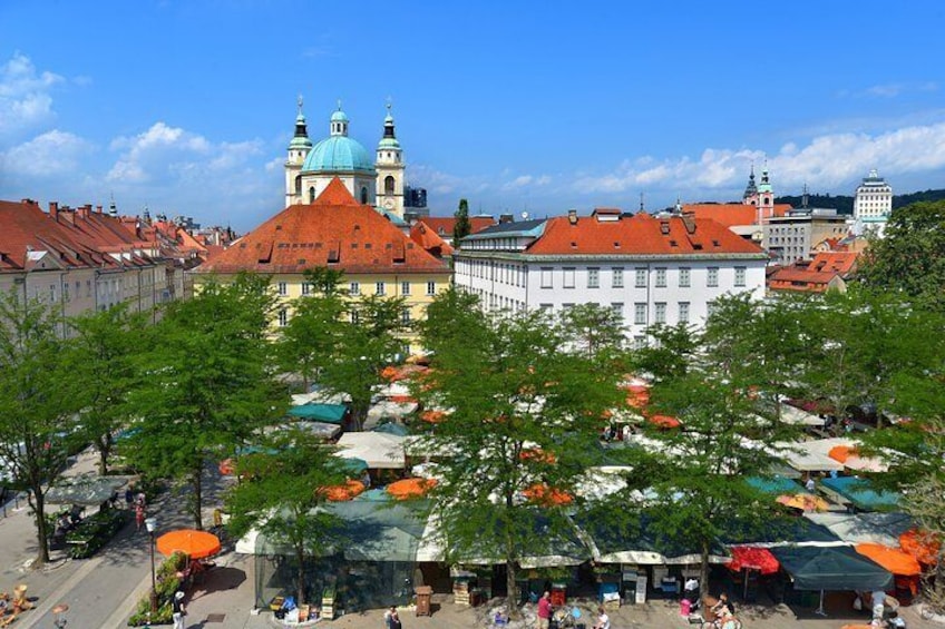 Private Walking Tour of Ljubljana Old Town