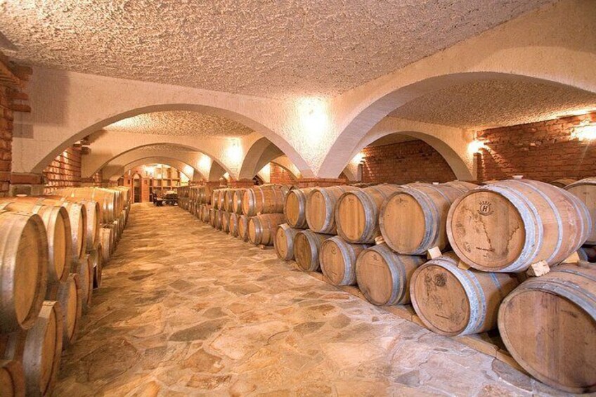 Experience Peljesac all inclusive wine tasting - private tour