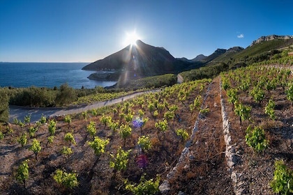 Discover Pelješac Peninsula - A Wine Tour in Small Groups