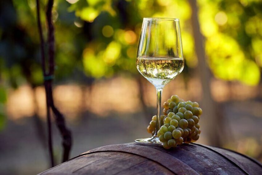  Discover Pelješac Peninsula - A Wine Tour in Small Groups
