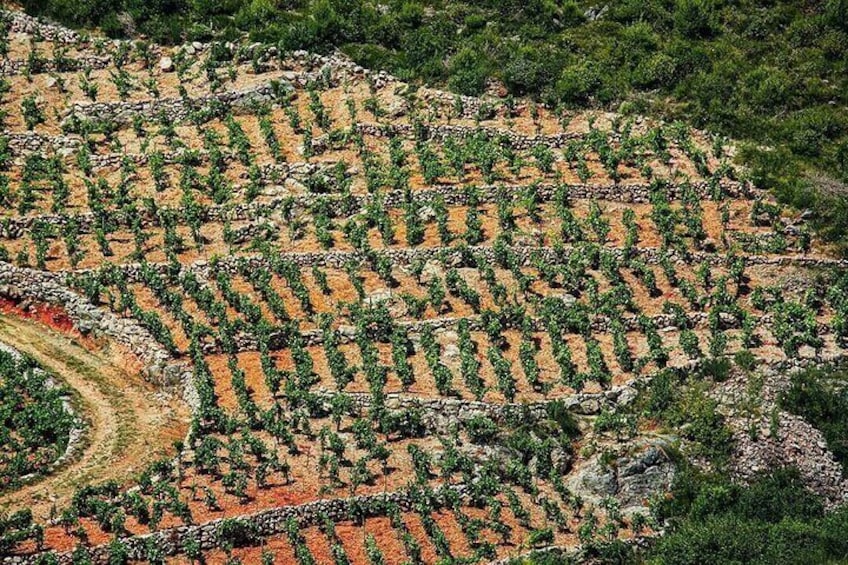 Discover Pelješac Peninsula - A Wine Tour in Small Groups