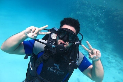 Intro Dykning 2 stopp för nybörjare med hämtning och lunch - Hurghada