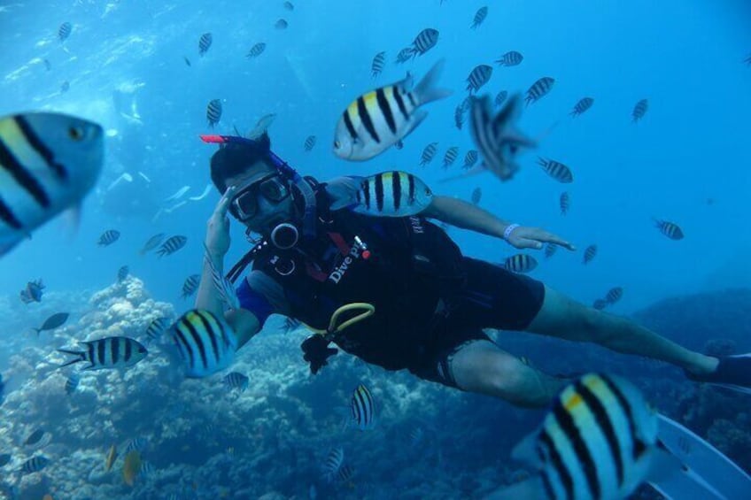 Intro Diving 2 Stops For Beginners with Pick-up and Lunch - Hurghada