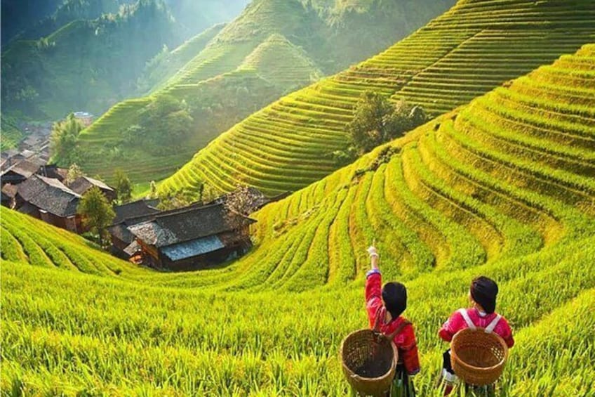 Longji Rice Terrace 