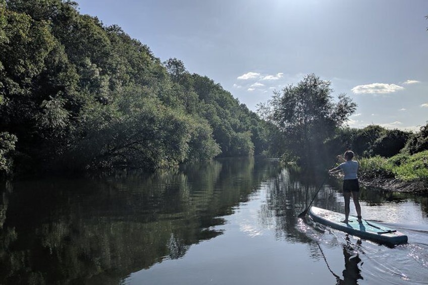 1-2-1 Paddleboarding River Trip For Beginners on The River Avon