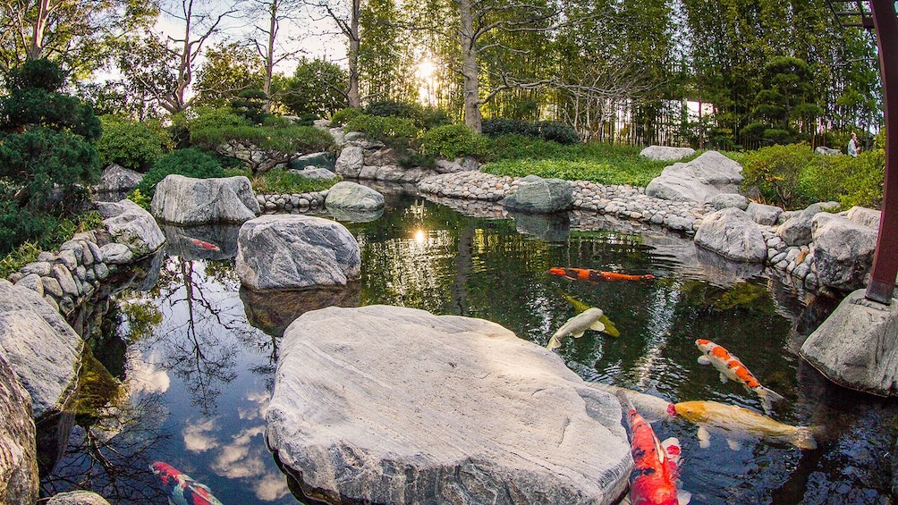 Go San Diego Explorer Pass: Choose 3, 4, 5 or 7 attractions