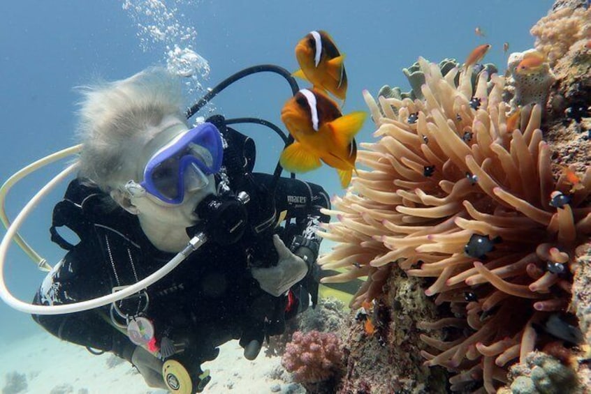 Maafushi: Scuba diving in Maldives