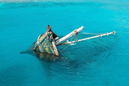 Maafushi: Ship wreck & Nurse shark snorkelling with Dolphin watching