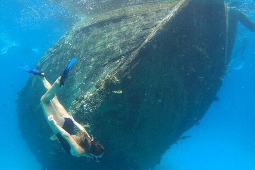 Maafushi: Ship wreck & Nurse shark snorkeling with Dolphin watching