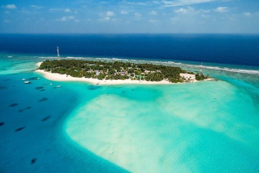Maafushi: Ship wreck, Shark and Turtle snorkeling with Dolphin watching