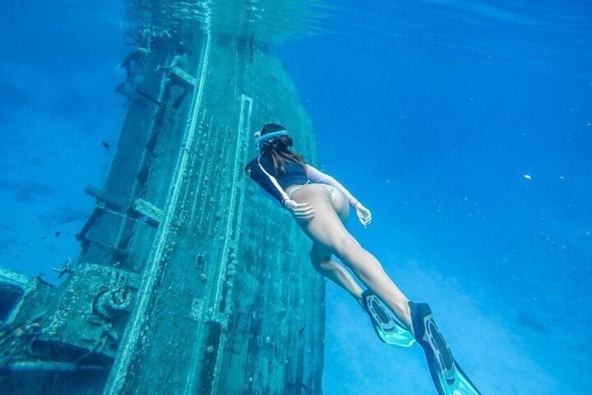 Maafushi: Ship wreck, Shark and Turtle snorkeling with Dolphin watching