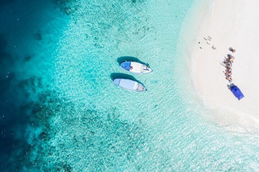 Maafushi: Half day snorkeling, Dolphin watching and Sandbank trip