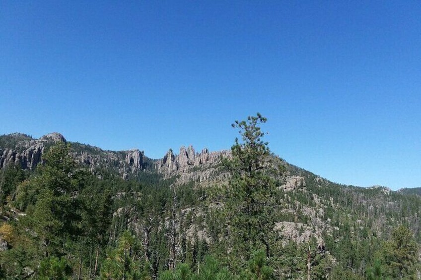 Bus Tour of Mount Rushmore and the Black Hills