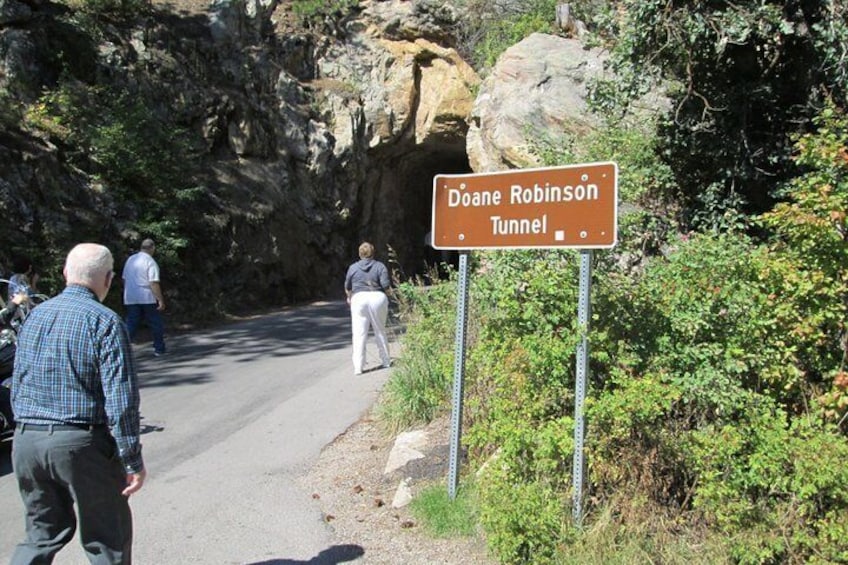 Bus Tour of Mount Rushmore and the Black Hills