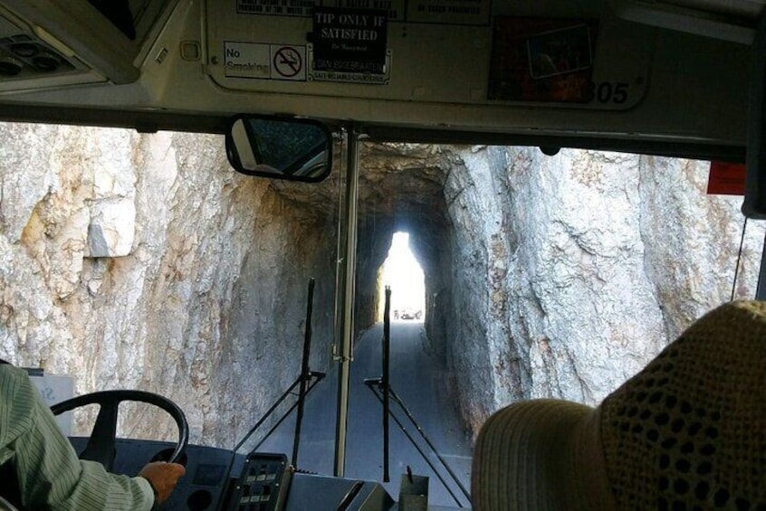 Bus Tour of Mount Rushmore and the Black Hills