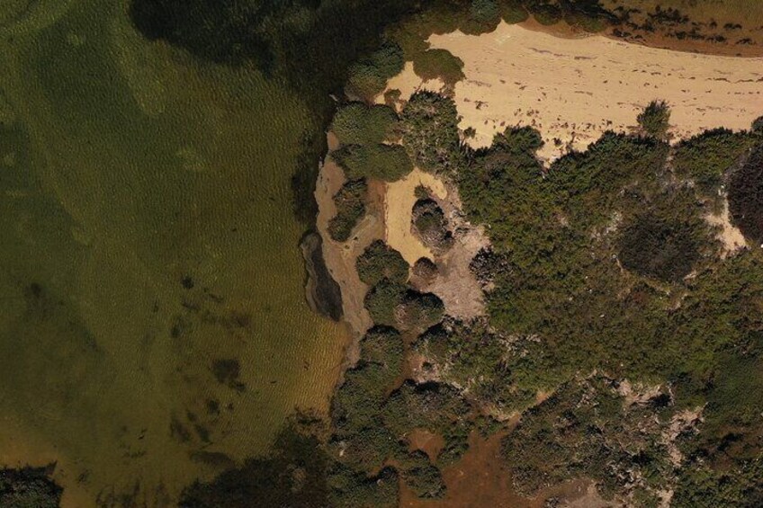 Ria Formosa: Boat Tour of the 3 Islands (Armona / Culatra / Farol / Deserta)