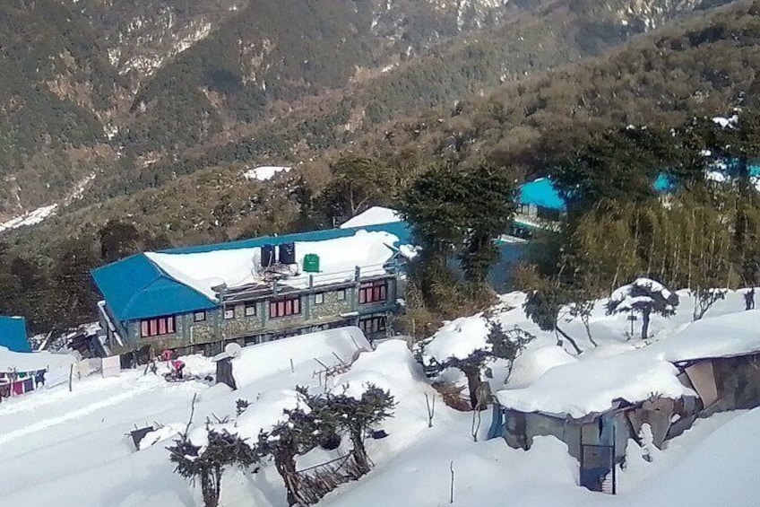 at Poon Hill- Ghorepani