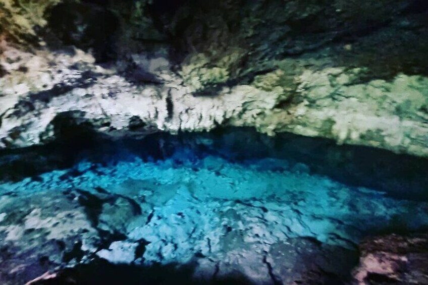 Private Dolphin Tour; Kuza Cave; Paje Beach; The Rock Restaurant; Jozani Forest