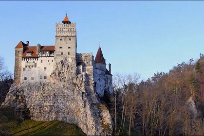 Château de Bran (Dracula), château de Peles, ville de Brasov - Visite privé...