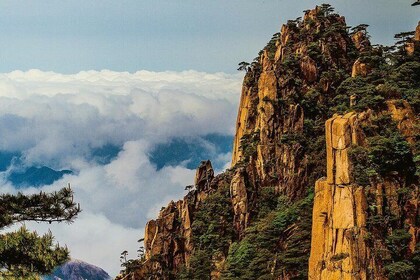 2-Day Private Trip to Huangshan Mountain and Tangmo Ancient Town from Guang...