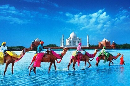 12 Days Classic Rajasthan Tour(Taj Mahal, Tigers, Lakes & Wildlife Tour)