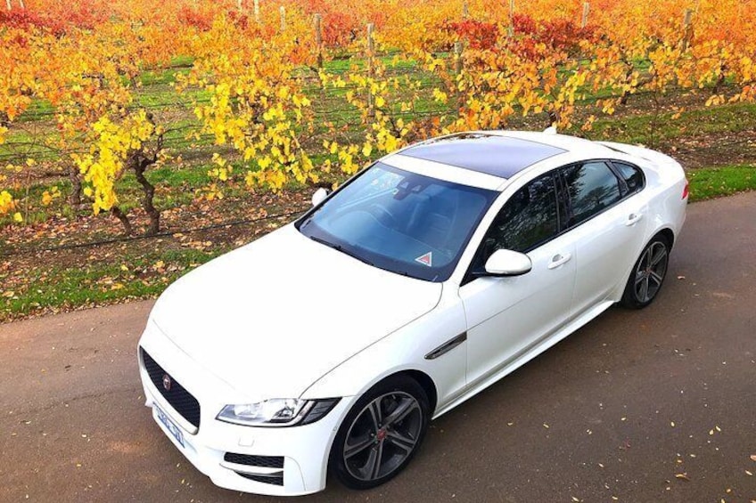 Luxury Jaguar Barossa Valley Half Day Private Tour For 2