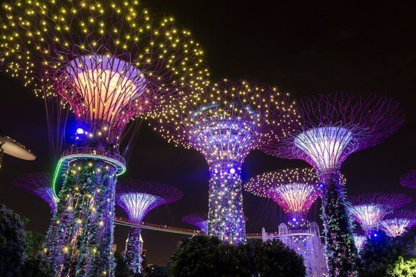 Discover Singapore with your camera