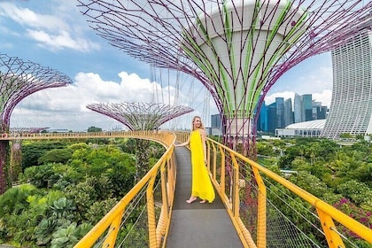 新加坡 Instagram 私人徒步之旅（私人和全包）