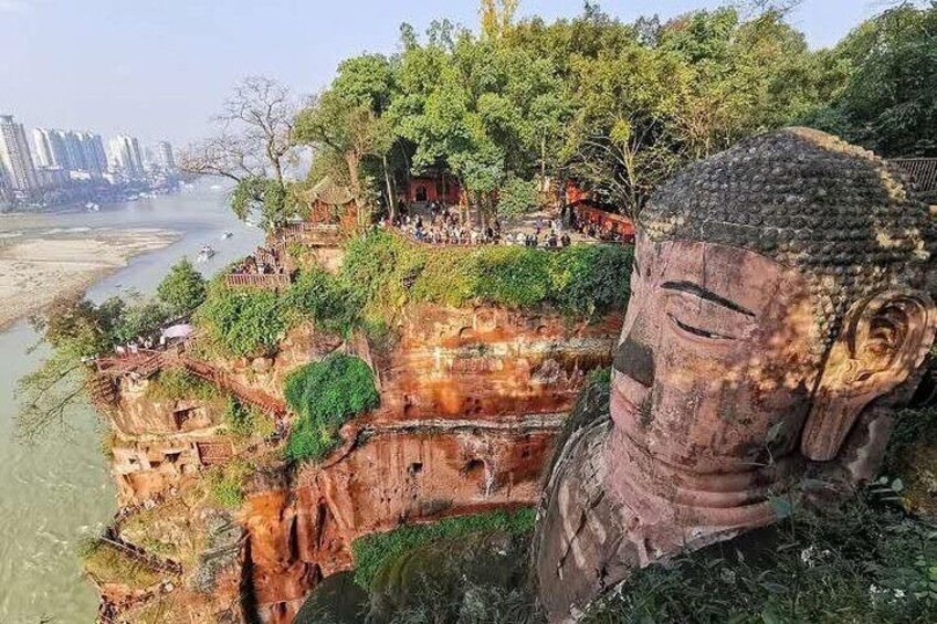 Private Full-day Trip: Leshan Giant Buddha & E'meishan Jinding scenic Resort