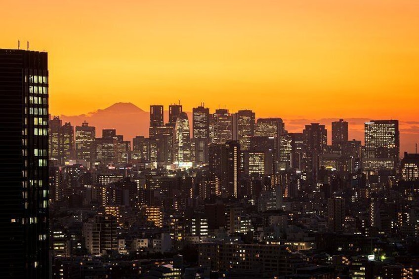 Find the best vantage points in Tokyo