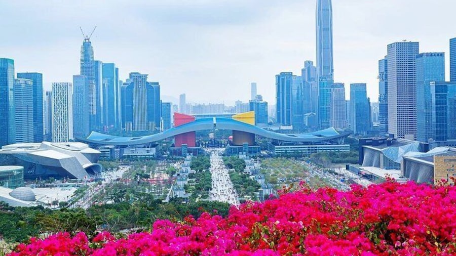 Private Shenzhen Sightseeing and Shopping Combo Tour with Pick up Options