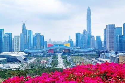 Shenzhen Private Customized Sightseeing and Shopping Combo Tour
