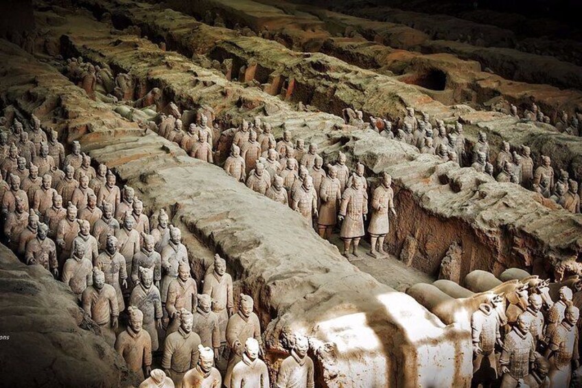 Terracotta warriors