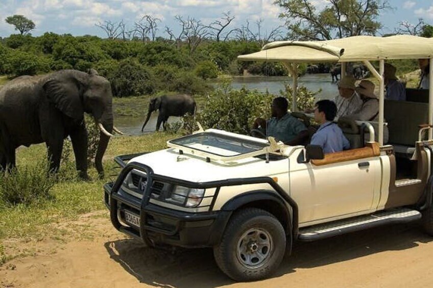 3 Hours Chobe Game Drive Safari, Botswana