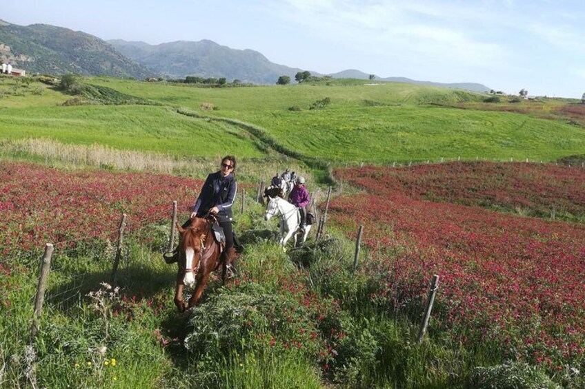 Madonie wild adventure